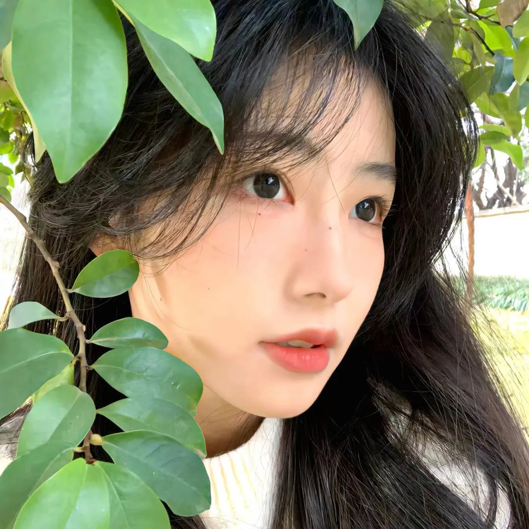 异邦人 无皇刃谭